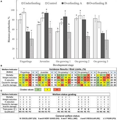 Welfare Indicators in Tilapia: An Epidemiological Approach